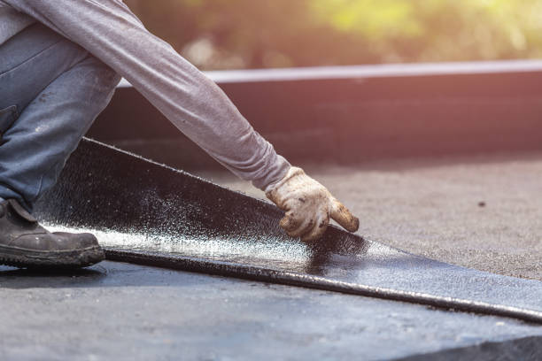 Professional Interior Drainage System technician working in Camden, AL